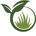 Key Hibiscus Planting