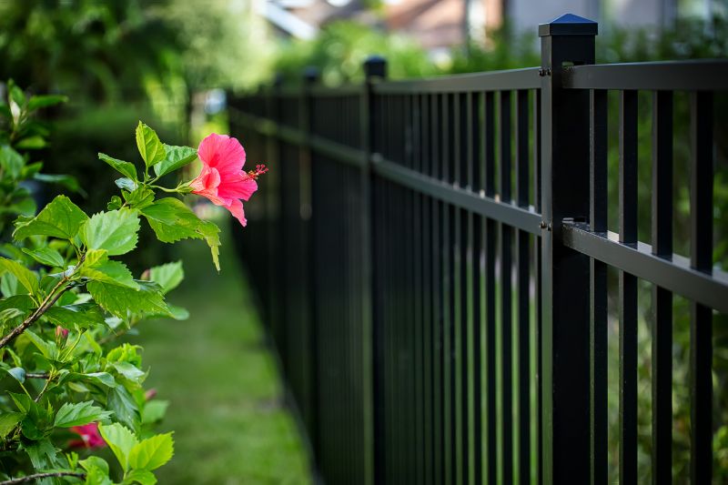 Hibiscus Planting detail